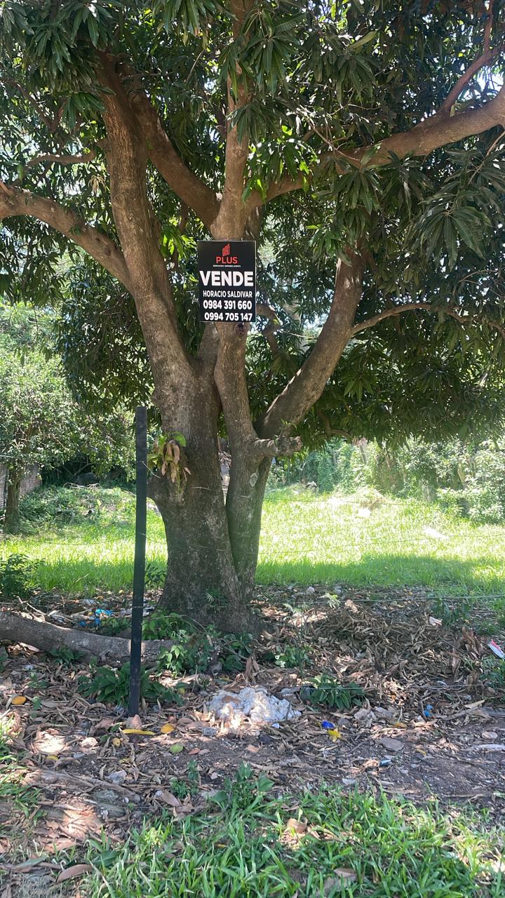 Foto Propiedad